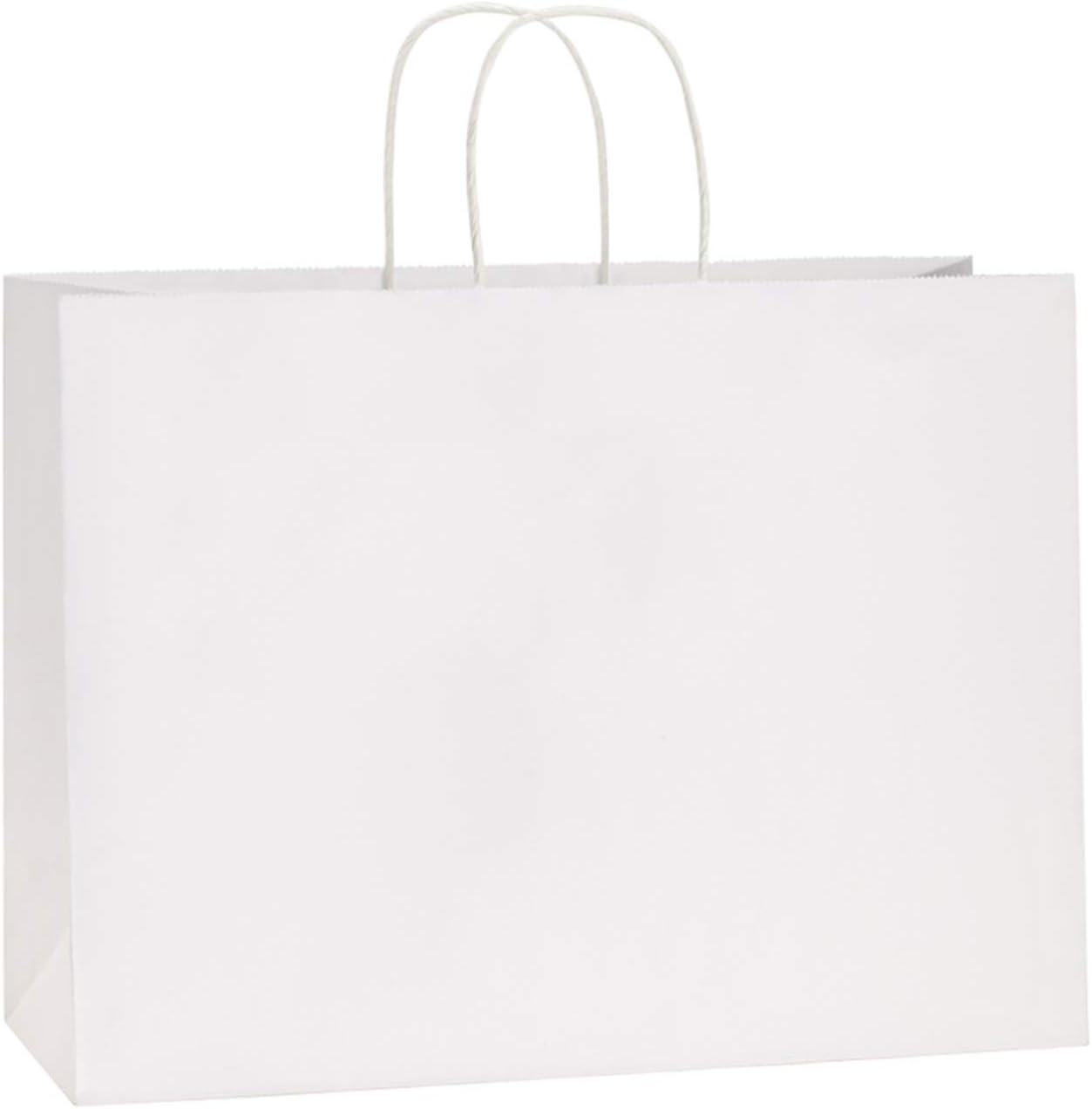 Gift Bags with Handles