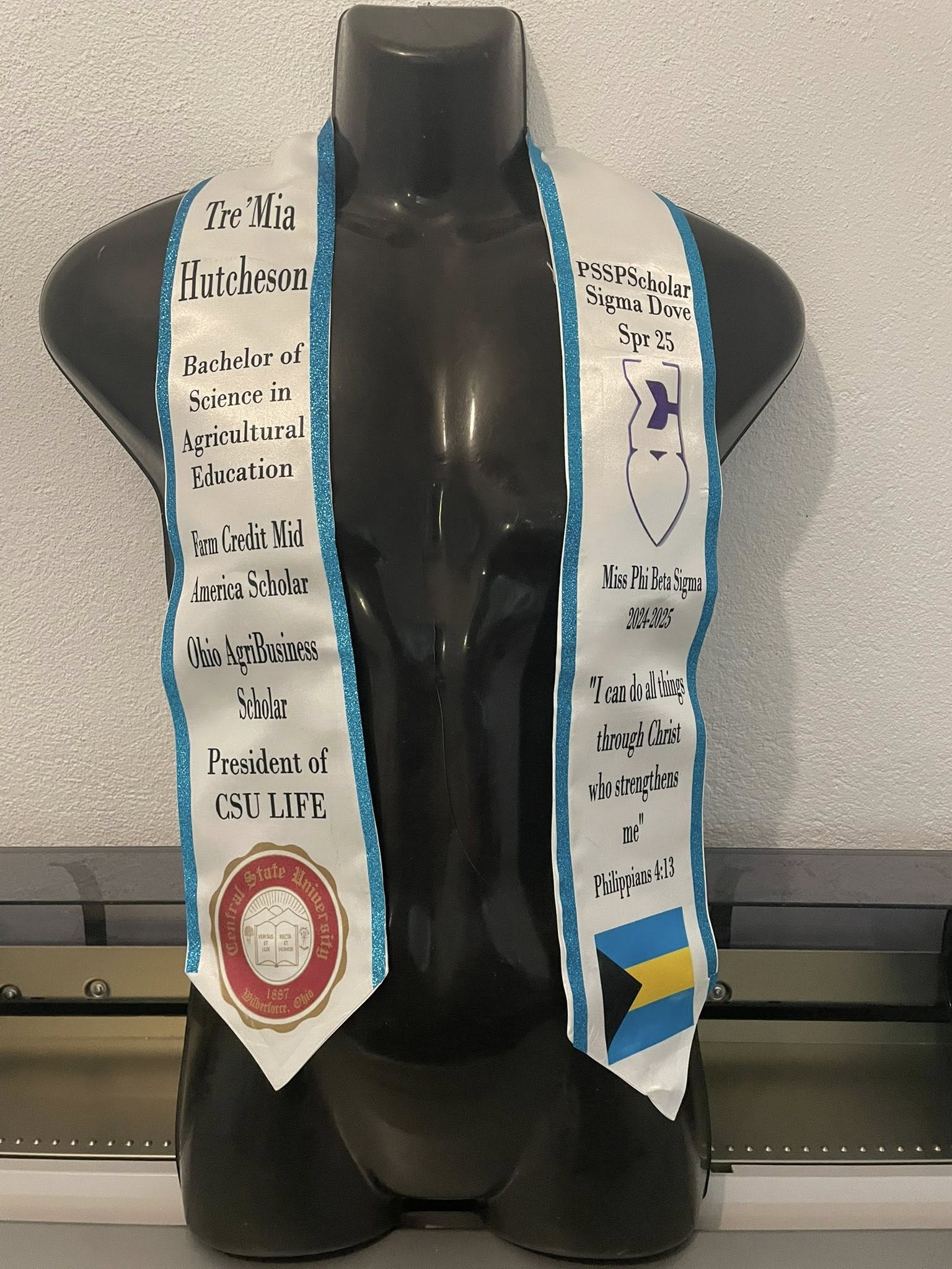 Graduation 3D/ All Over Stole